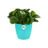 Brussels Round Mini 10,5Cm Bright Turquoise