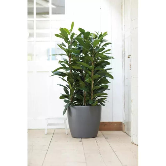 Brussels Round Wheels 40Cm Anthracite