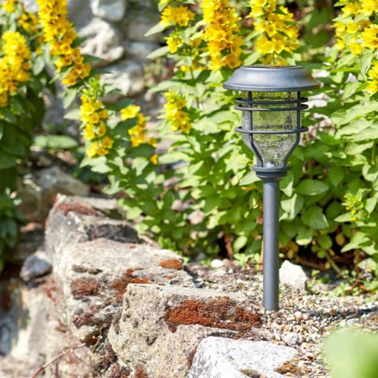 Smart Solar Super Bright Capri Stake Light