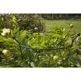 Cottage Garden Ring - Small