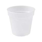 elho Basics Orchid Pot 15cm Transparent