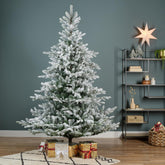 Grandis Fir Snowy 6Ft