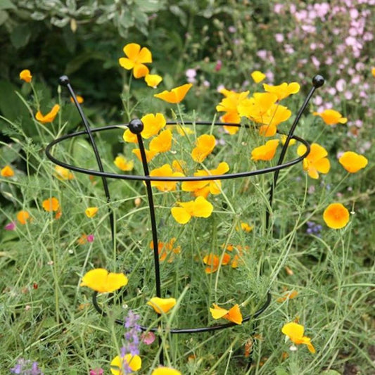 Herbaceous Support - twin pack - Small