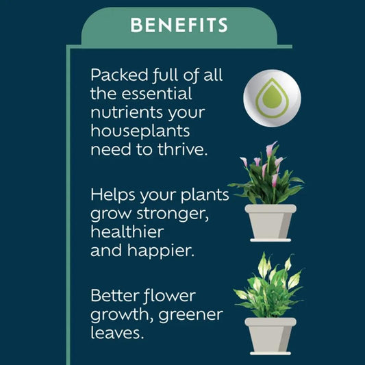 Houseplant Feed Concentrate 200Ml