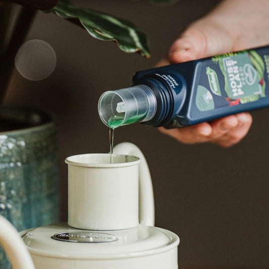 Westland Houseplant Feed Concentrate 200ml