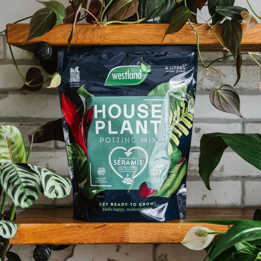 Westland Houseplant Potting Mix 4L