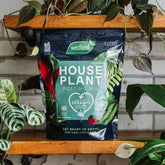 Westland Houseplant Potting Mix 4L