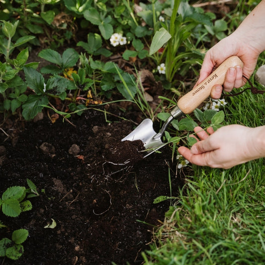 Kent & Stowe Hand Transplanting Trowel Stainless Steel