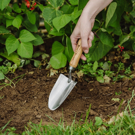 Kent & Stowe Hand Trowel Stainless Steel