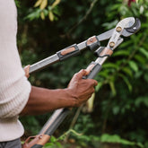 Kent & Stowe SureCut Extra Power Hard Wood Anvil Loppers