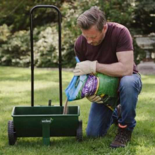 Westland Lawn Sand Moss Treatment 200m2