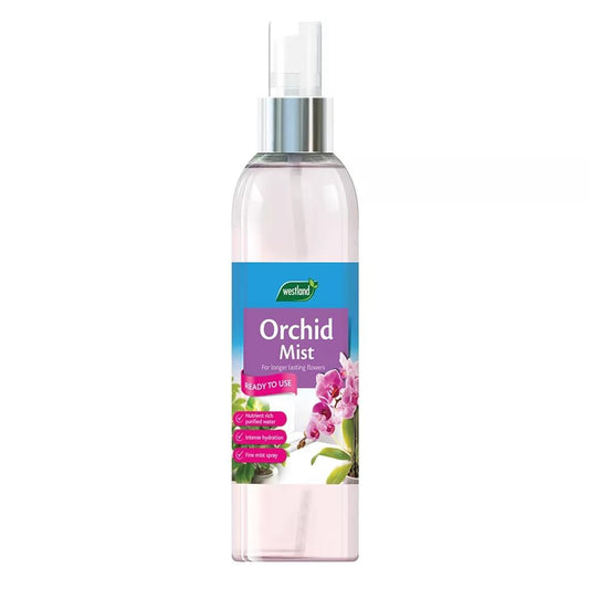 Orchid Mist