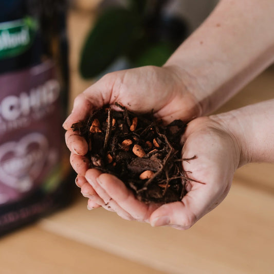 Westland Orchid Potting Mix 4L