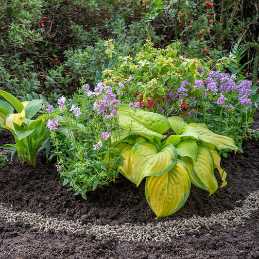 Organic Slug Stop Barrier 2.25KG