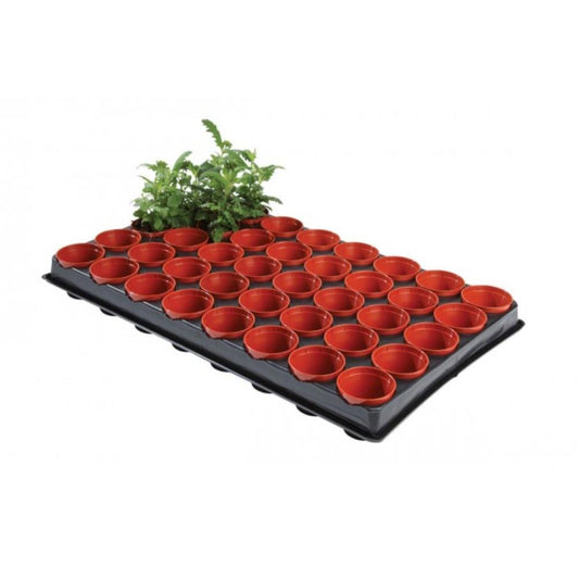 Professional Seed & Cutting Tray 40 x 6cm Pots