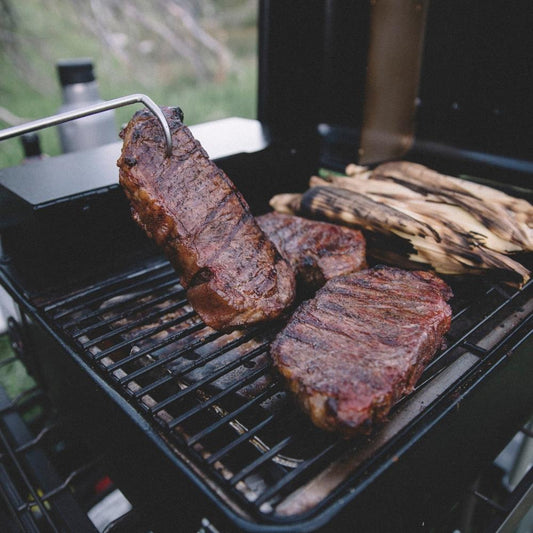 Traeger Ranger Portable Wood Pellet Grill