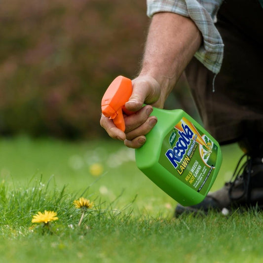 Resolva Lawn Weedkiller Extra Ready to Use Spray Gun 1L