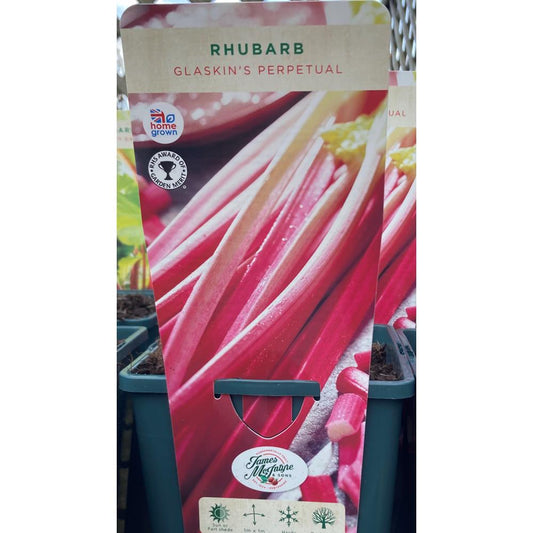 Rhubarb Glaskins Perpetual 3L