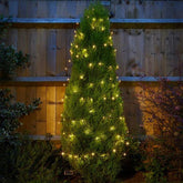 String Lights - 100 Warm White Led