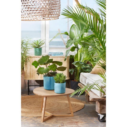 The Ocean Collection Round 22Cm Atlantic Blue