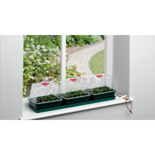 Three Top Windowsill Propagator