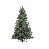 TRONDHEIM SPRUCE 7ft