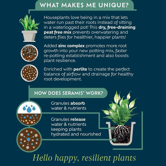 Westland Houseplant Compost Peat free 4L