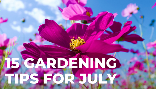 15 Gardening Tips for July