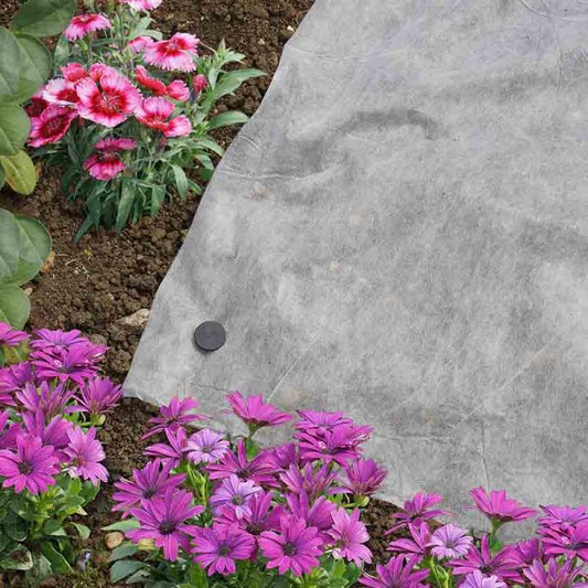 Ultimate Guide - How To Winterproof Your Garden