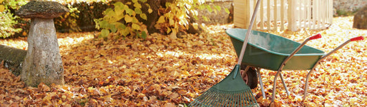 GREAT AUTUMN TIPS TO GET YOUR GARDEN READY FOR WINTER