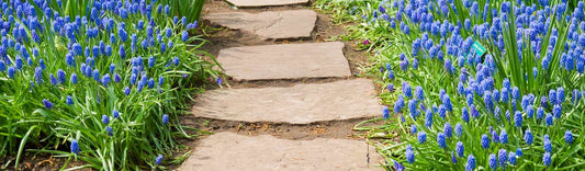 COTTAGE STYLE GARDENS