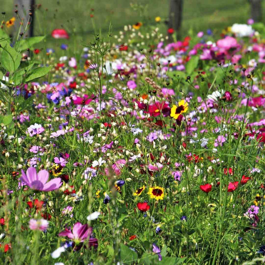 May Gardening Jobs