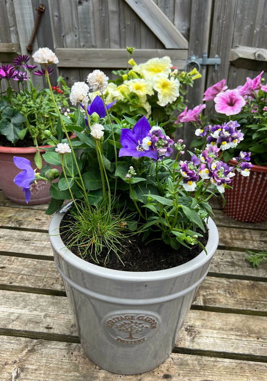 Chelsea inspired planters
