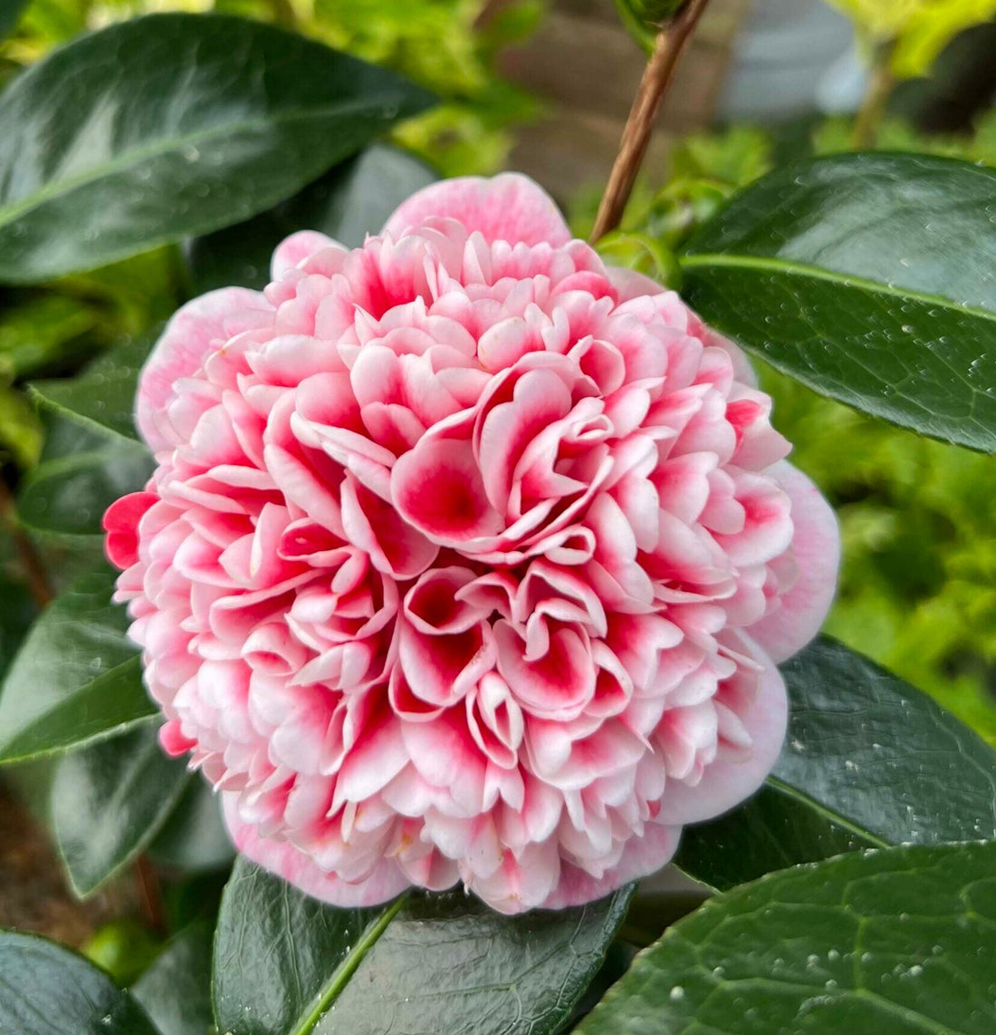 Ready to Spring into action?