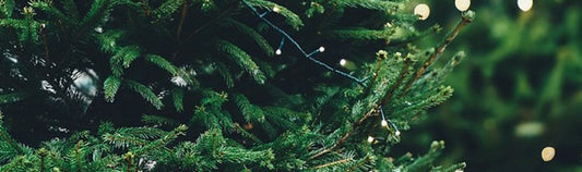 CHRISTMAS TREES - ARTIFICIAL? OR REAL?