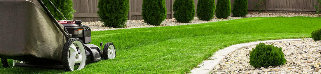 SPRING GARDENING GUIDE - PART 2