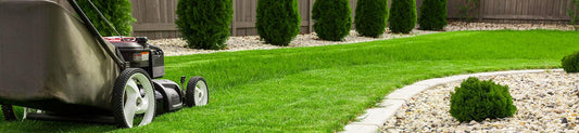 SPRING GARDENING GUIDE - PART 2