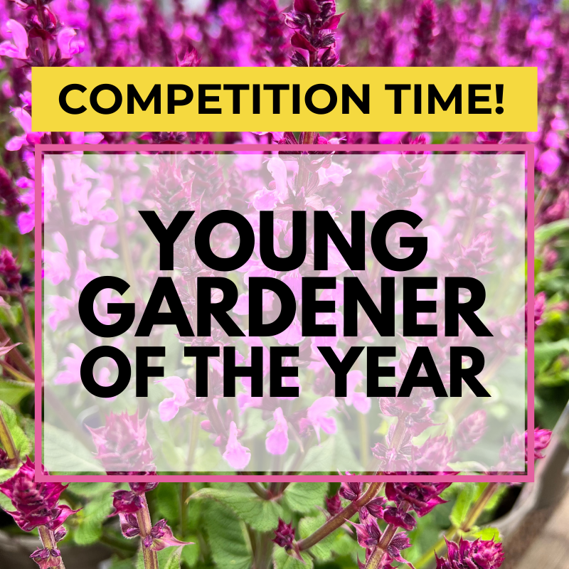 Young Gardener of the Year