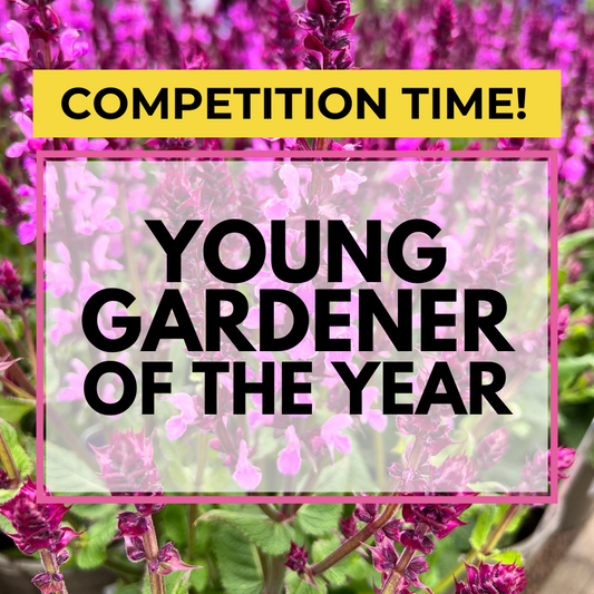 Young Gardener of the Year