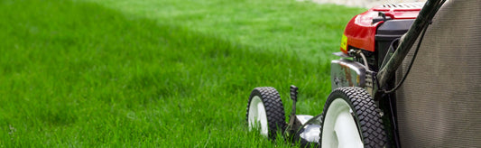 GETTING YOUR GARDEN READY FOR SPRING - PART 2