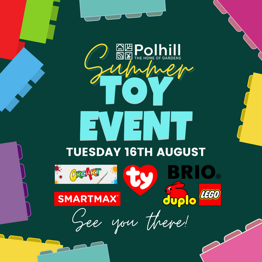Summer Toy Event