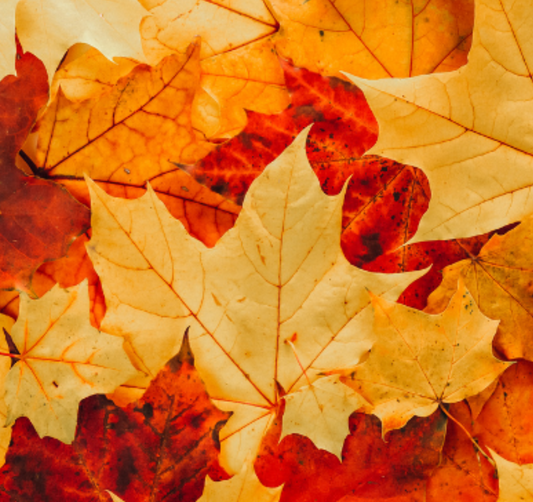October Gardening Tips