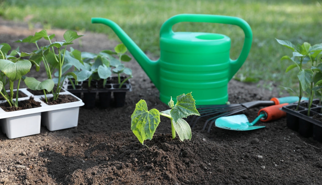 Planning Your Garden for a Strong 2026 Start
