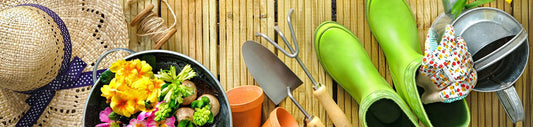 SPRING GARDENING GUIDE - PART 1