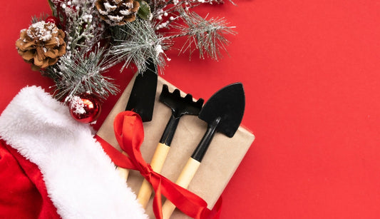 Garden Lovers’ Christmas Gift Guide 2025