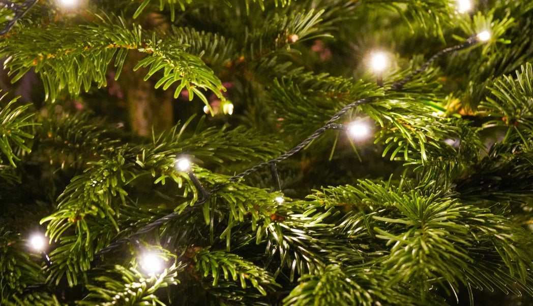 The perfect amount of compact lights per tree height