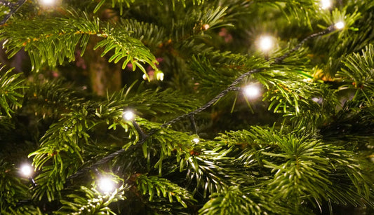 The perfect amount of compact lights per tree height