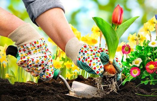 SPRING GARDENING GUIDE - PART 3