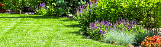 2020 GARDENING TRENDS