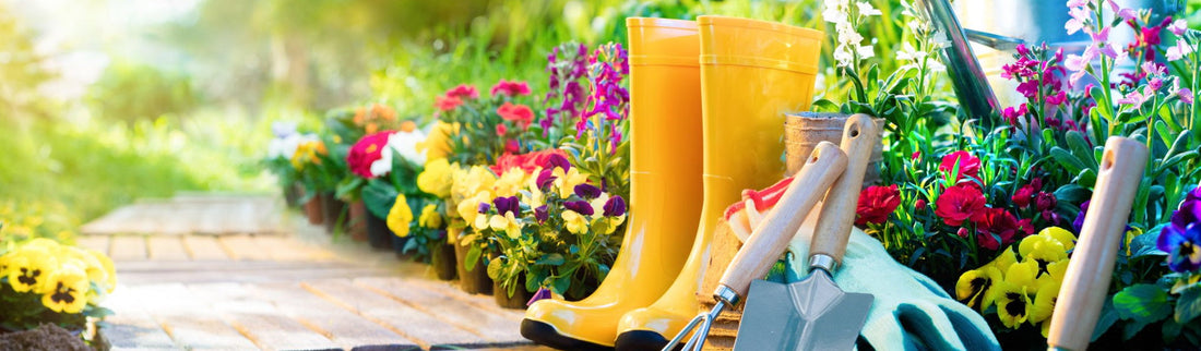 GARDENING IN THE CURRENT LOCKDOWN